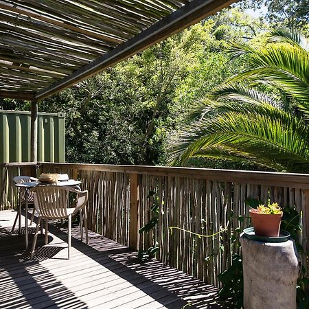 Camps Bay Forest Pods Cape Town Bagian luar foto
