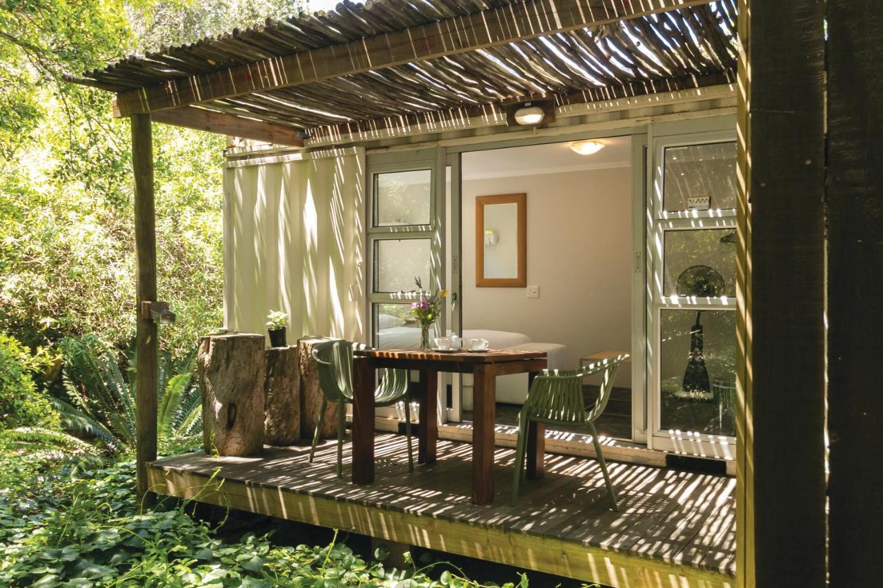 Camps Bay Forest Pods Cape Town Bagian luar foto