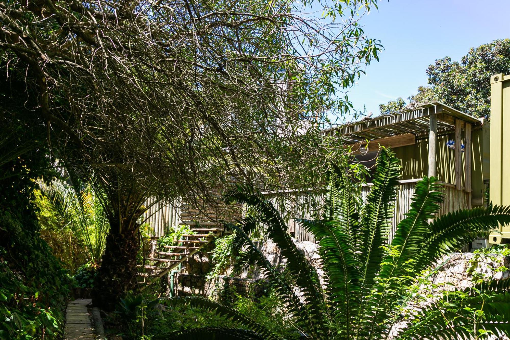 Camps Bay Forest Pods Cape Town Bagian luar foto
