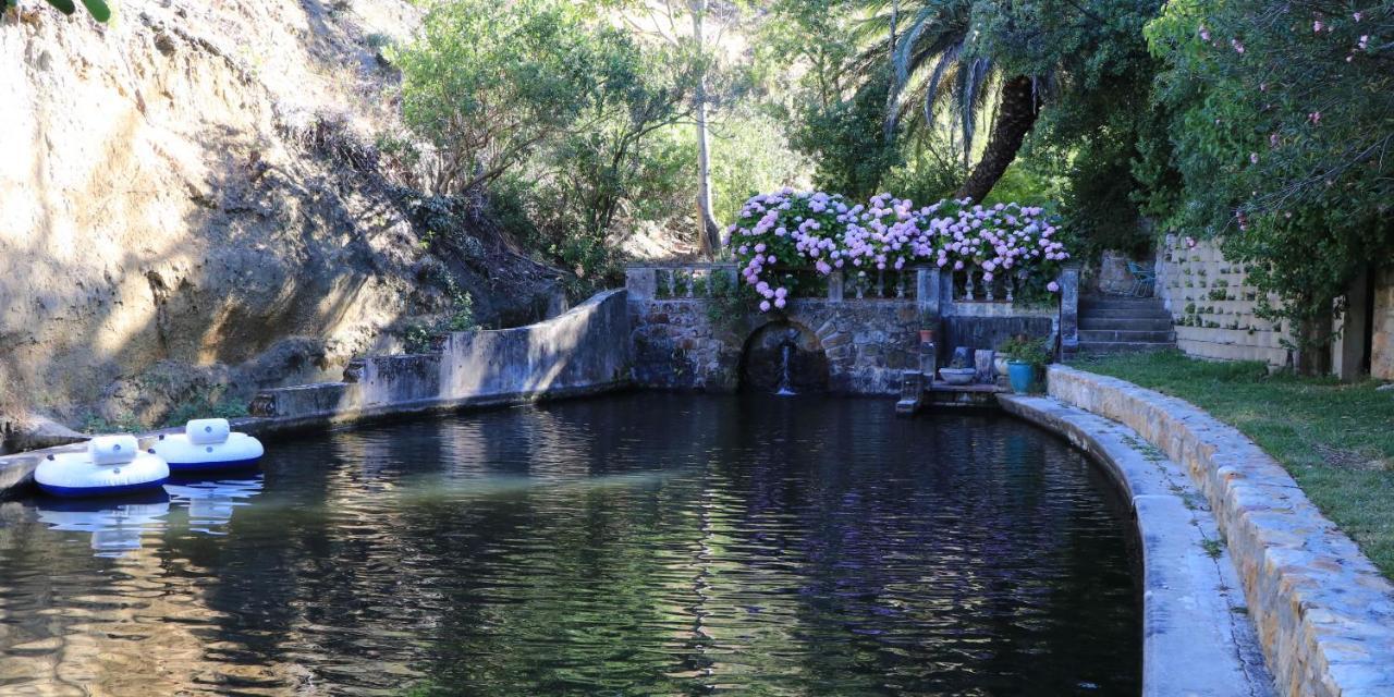 Camps Bay Forest Pods Cape Town Bagian luar foto