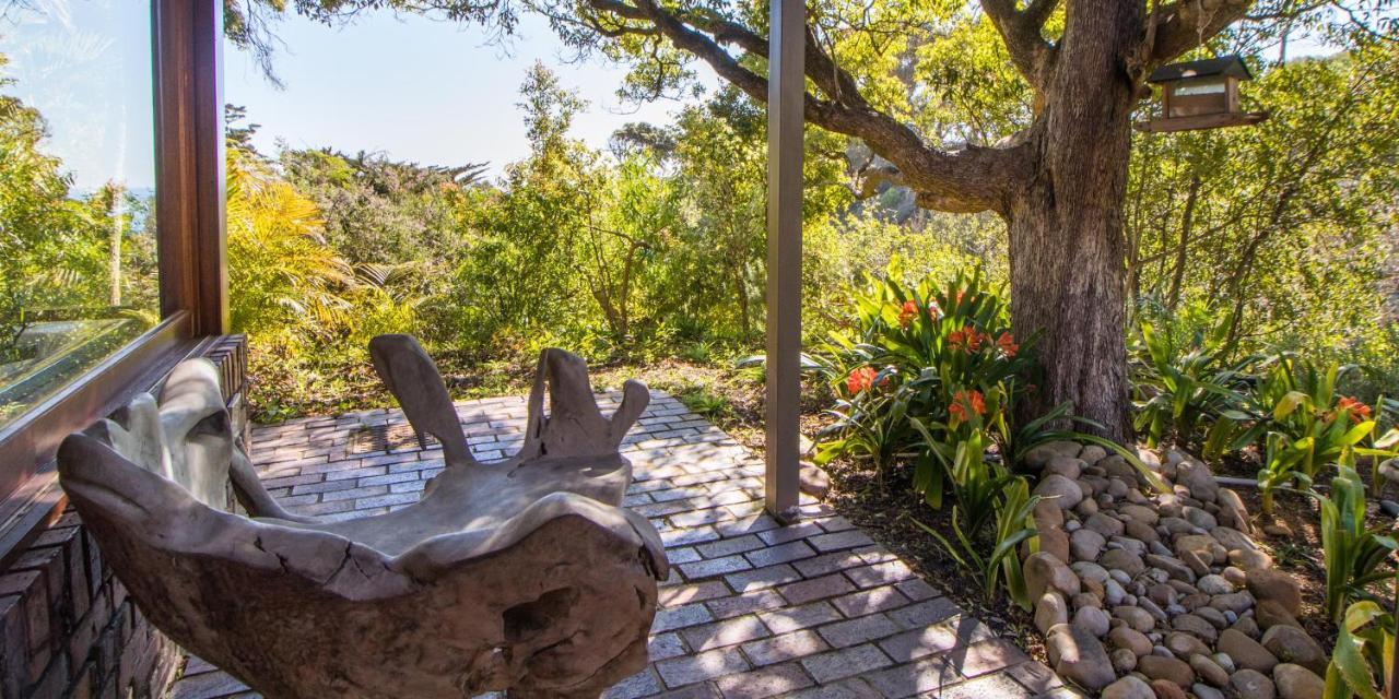 Camps Bay Forest Pods Cape Town Bagian luar foto